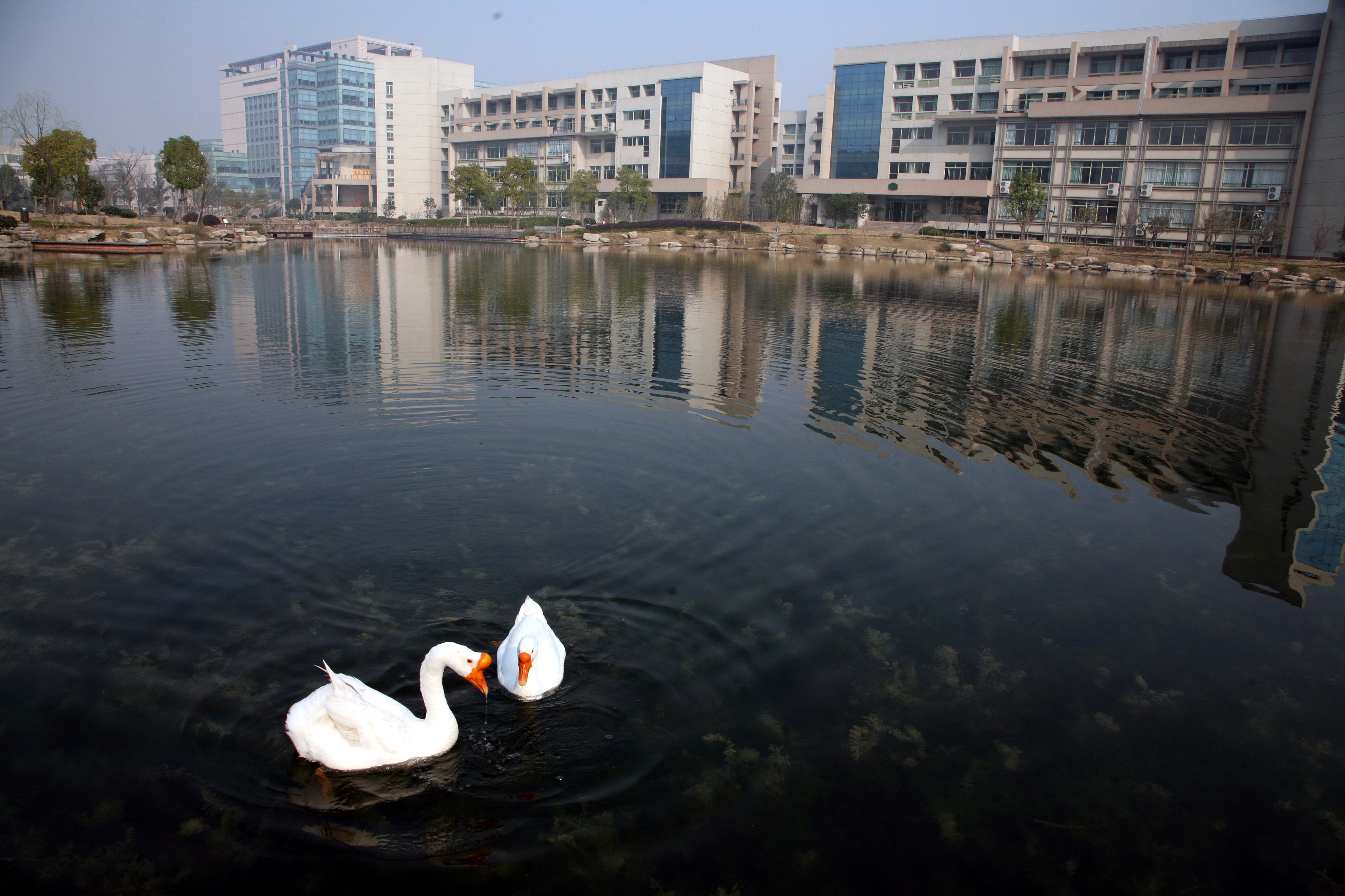 校园一景-浙江财经大学招生网