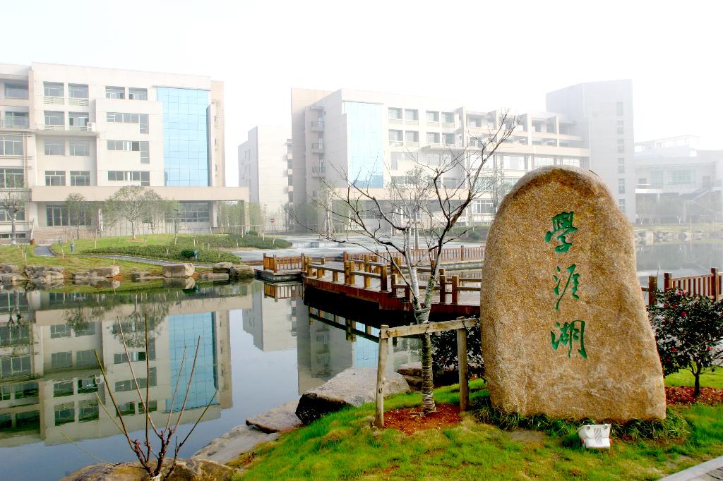 宁波财经学院杭州湾图片